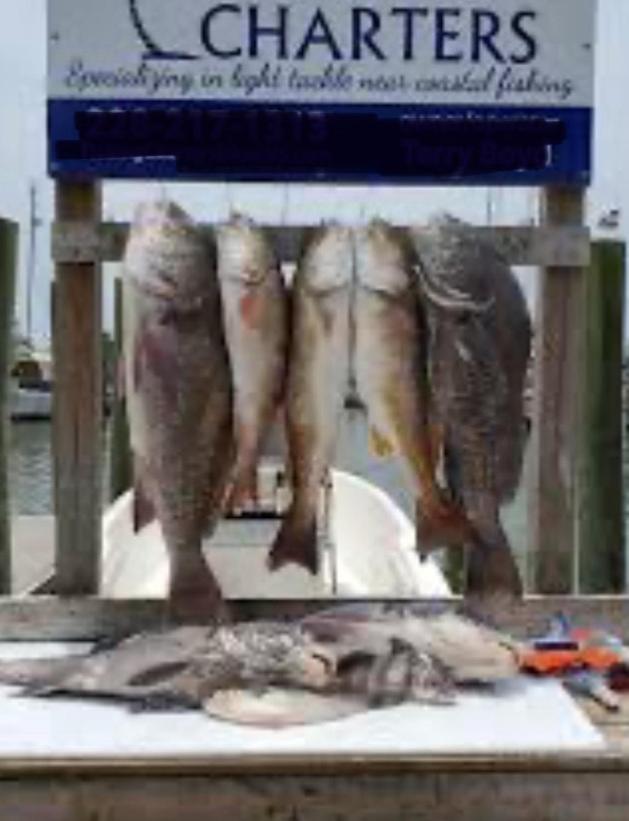 Feels Like Home Escape, 1/2 Mile To Beach Gulfport Extérieur photo